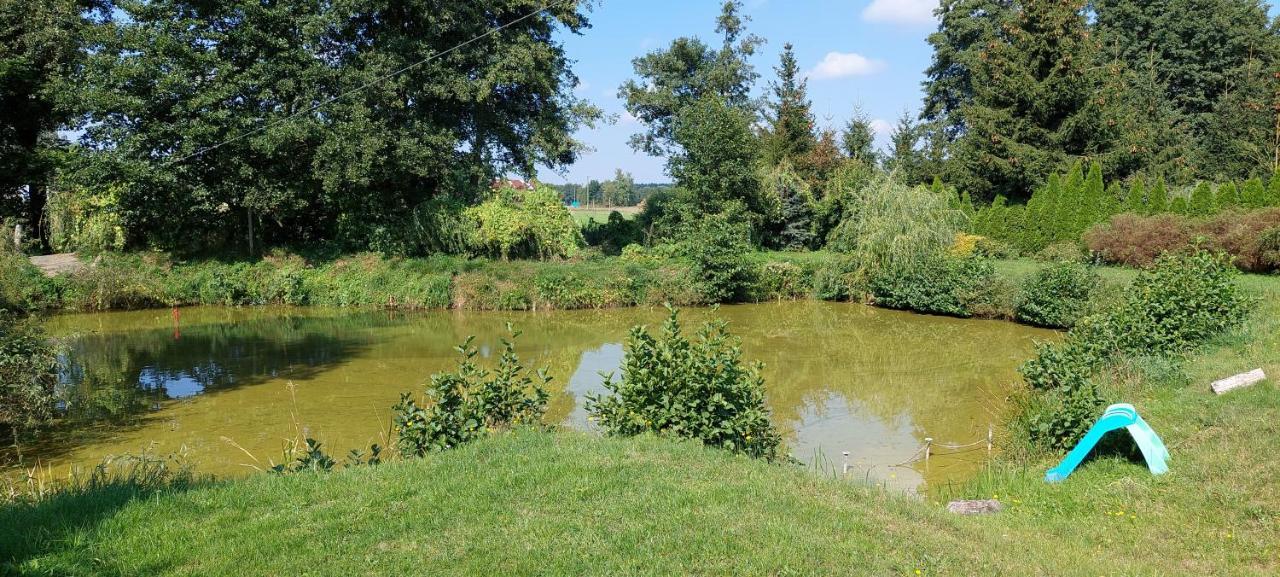 Agroturystyka Zielony Zakatek Vila Grudna Exterior foto